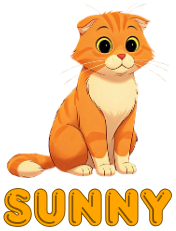 Sunny, a warm and reliable male orange tabby cat