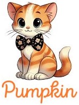 Pumpkin, a lively female orange tabby cat